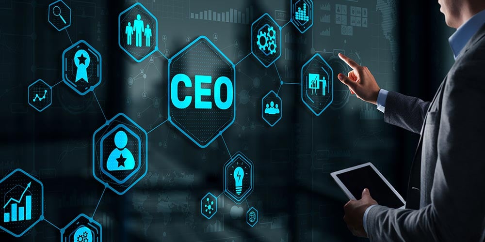 CEO's Role in the Digital Transformation